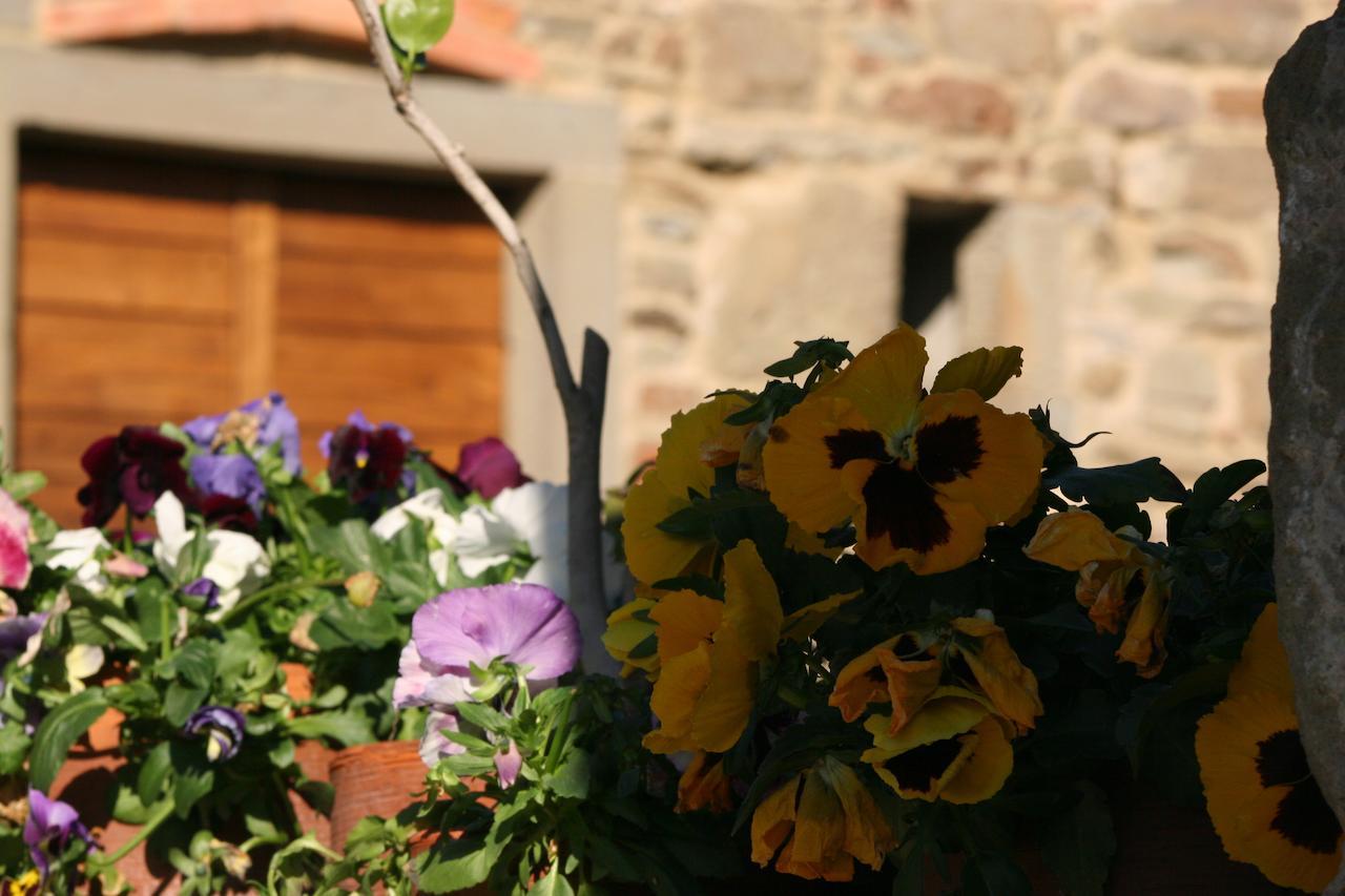 Villa Podere Pian De' Cortini à Serravalle  Extérieur photo